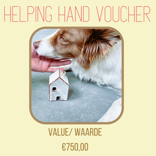 Helping Hand Voucher  - €750,00